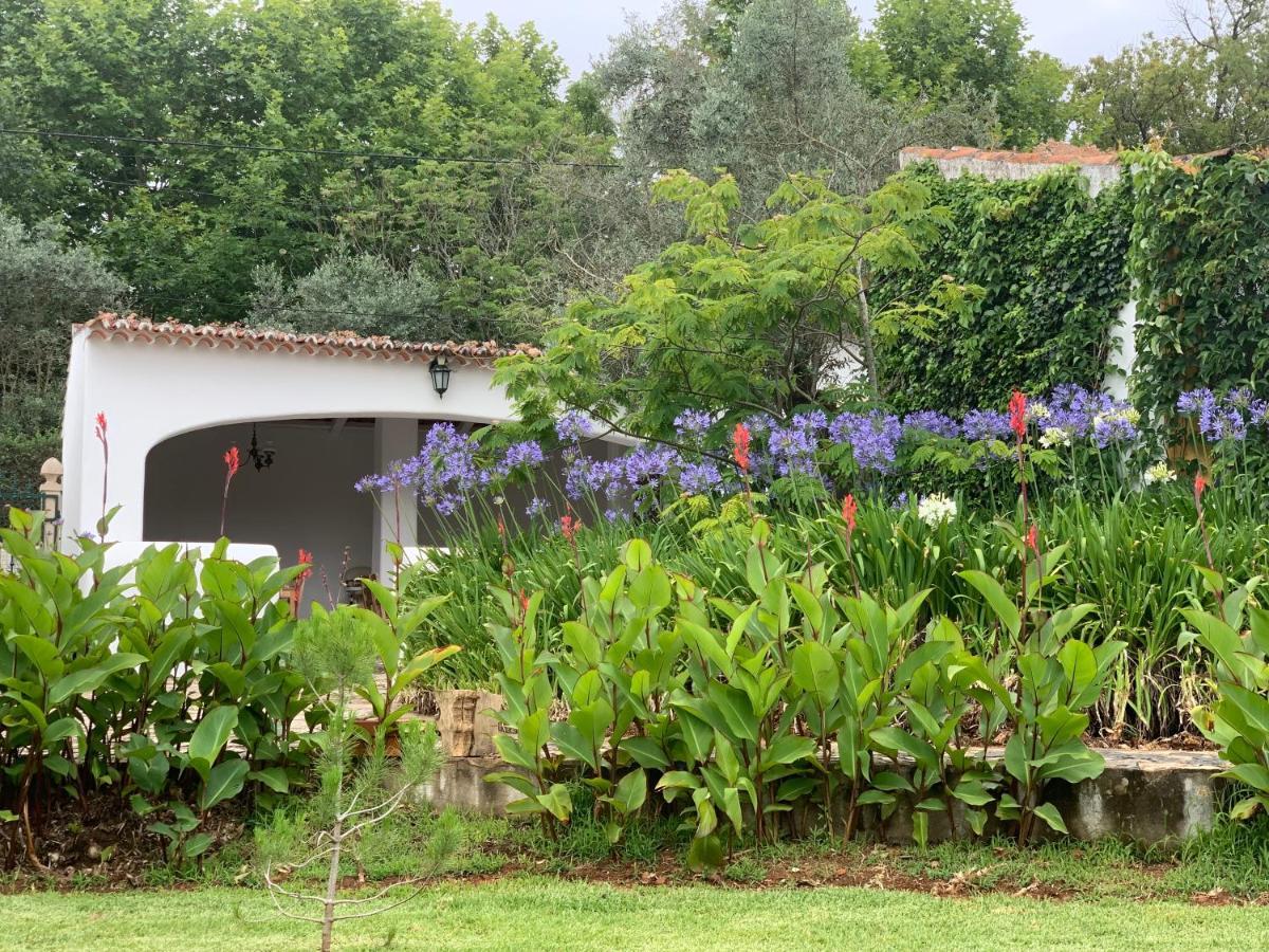 Appartamento Quinta Dos Girassois Fz Ferreira do Zêzere Esterno foto